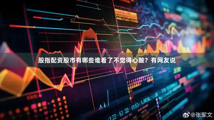 股指配资股市有哪些谁看了不觉得心酸？有网友说