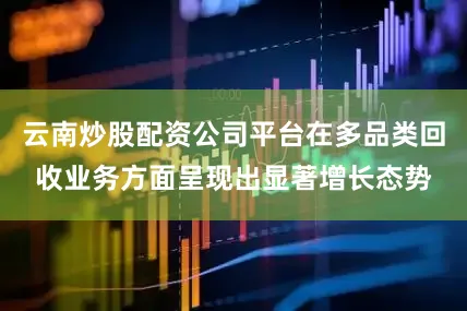 云南炒股配资公司平台在多品类回收业务方面呈现出显著增长态势