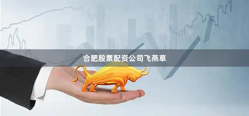 合肥股票配资公司飞燕草