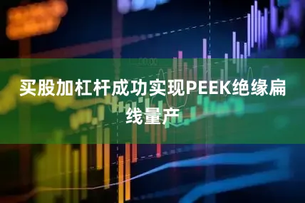 买股加杠杆成功实现PEEK绝缘扁线量产
